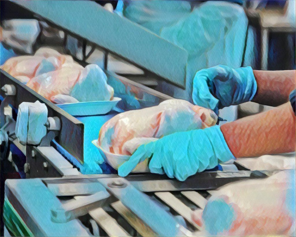 рост птицеводства рост птицеводства